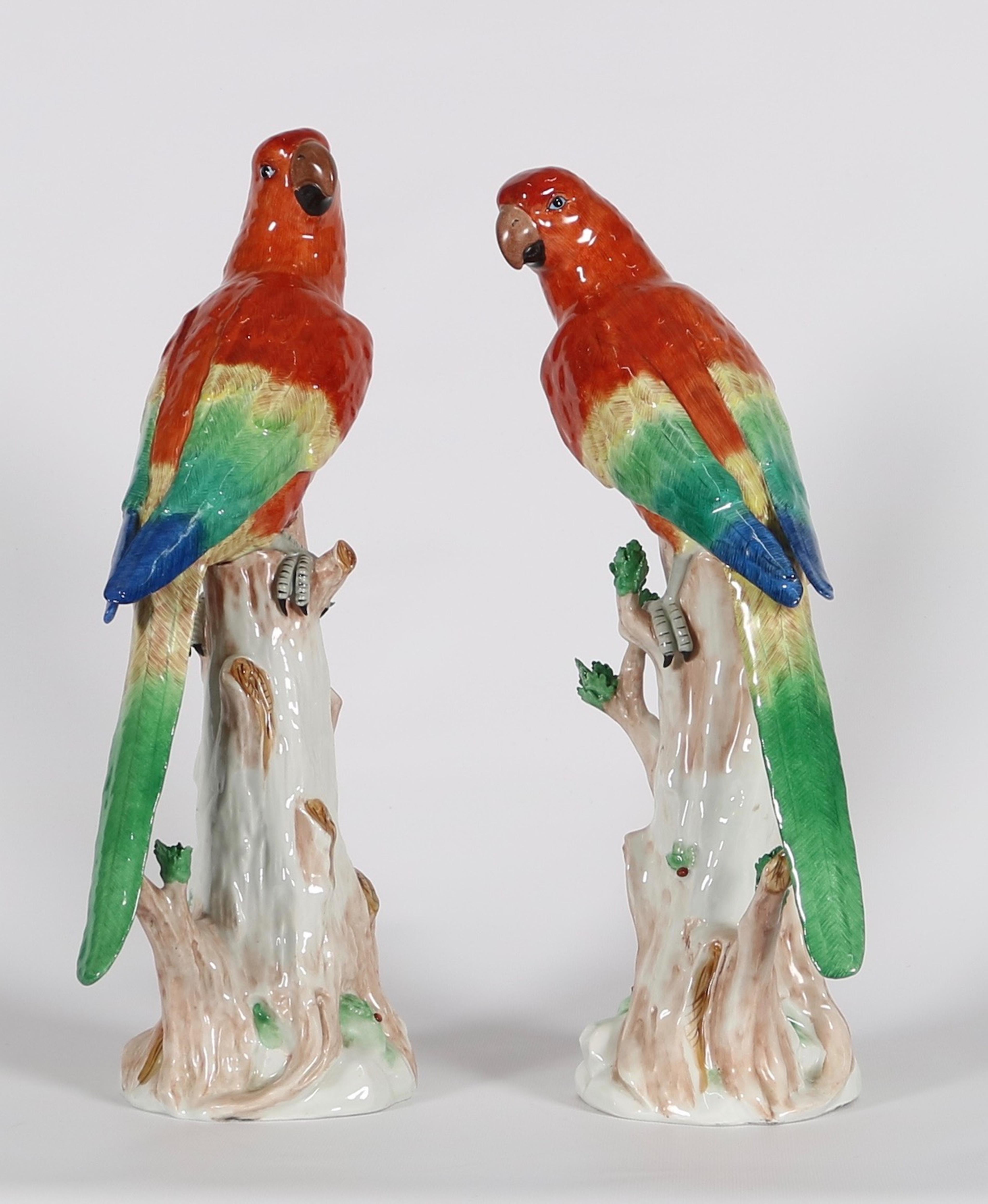 macaw statue