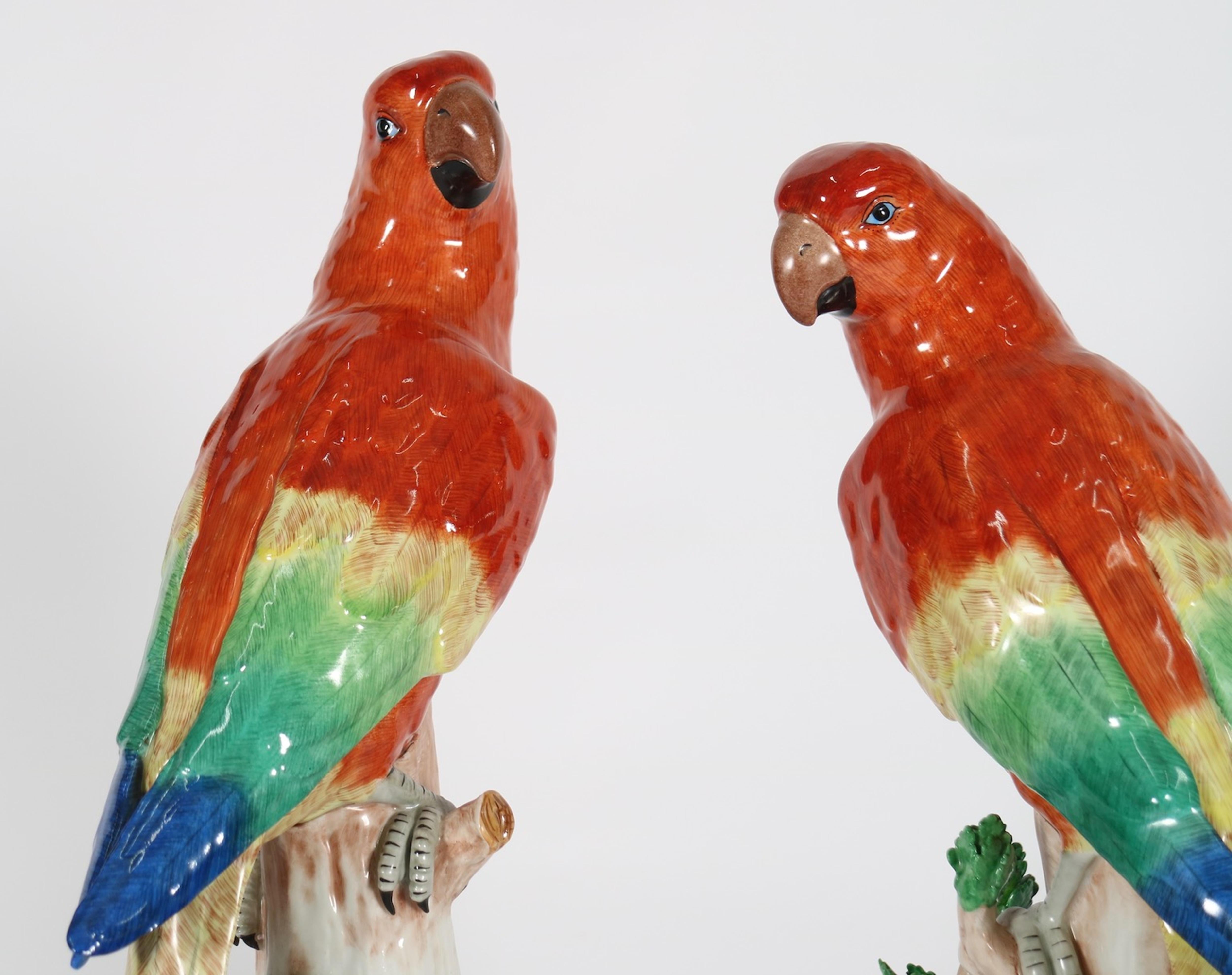 German Dresden Porcelain Sculpture of Macaw Parrots