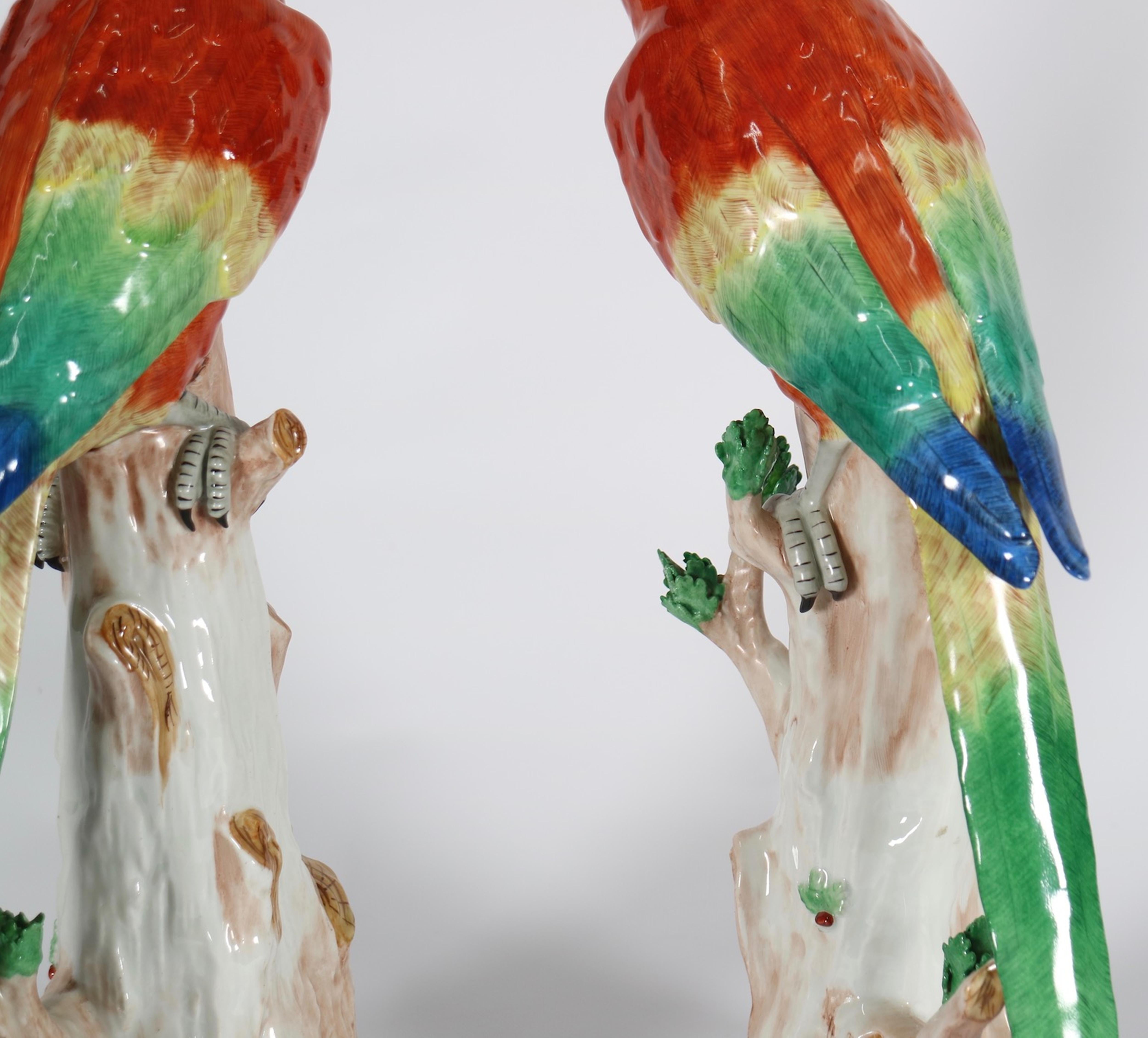 Dresden Porcelain Sculpture of Macaw Parrots In Excellent Condition In New York, NY