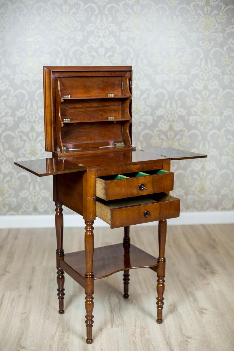 Dresser / Desk / Dressing Table in Brown Venered with Mahogany, circa 1860 For Sale 2