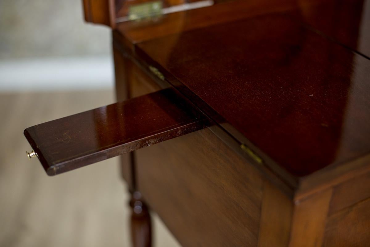 Dresser/Desk/Dressing Table Veneered with Mahogany, circa 1860 For Sale 3