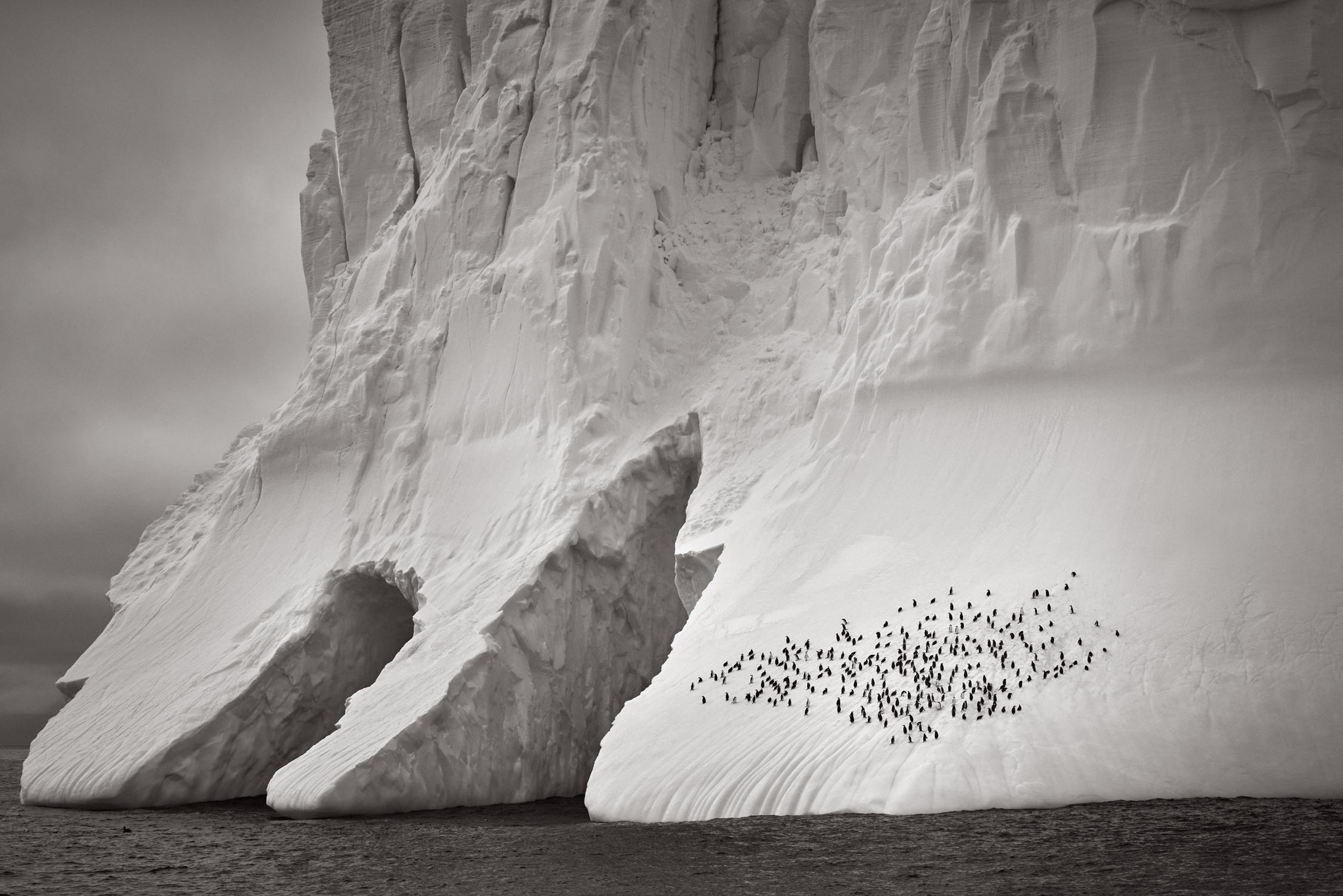 Image surréaliste d'un iceberg avec des arcs et des pingouins se rassemblant sur son côté droit - Painting de Drew Doggett