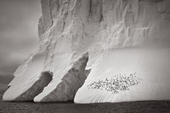 Surreal image of an iceberg with arches and penguins gathering on its right side