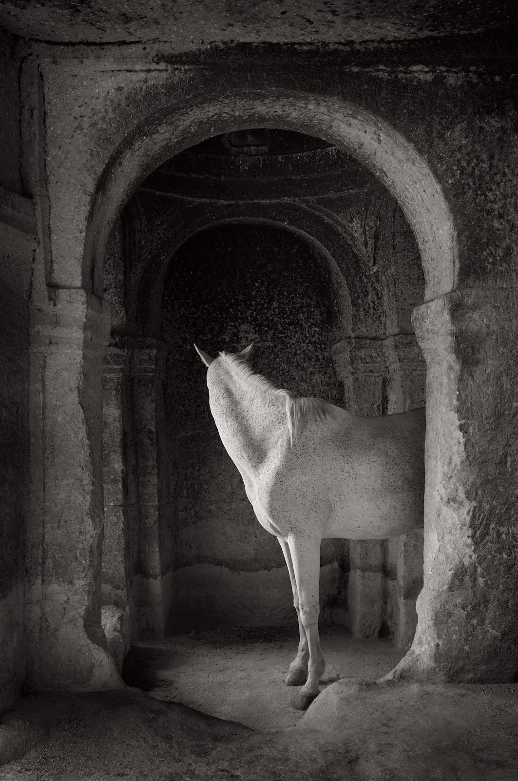 Un beau cheval blanc sous un arc en pierre d'un bâtiment ancien - Photograph de Drew Doggett