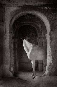 A beautiful white horse underneath a stone arch in an ancient building