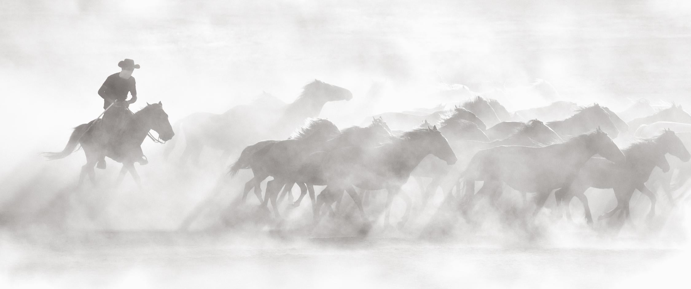 Un vaquero a caballo reuniendo al rebaño en una escena etérea y humeante - Photograph de Drew Doggett