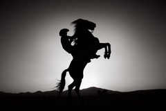 Ein Cowboy bäumt sich auf seinem Pferd auf, das sich gegen den dunklen Himmel abzeichnet