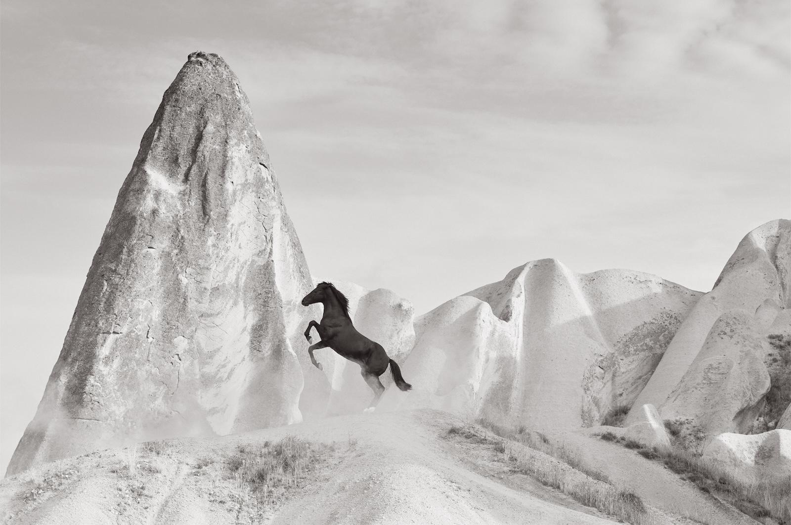Ein dunkles Pferd bäumt sich vor der Kulisse der dramatischen Sandsteinformationen auf – Photograph von Drew Doggett