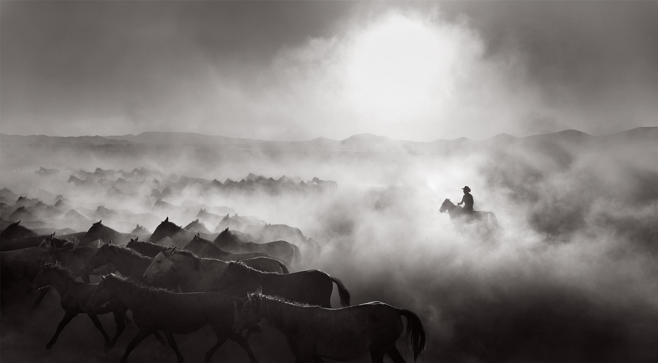 Iconic print of a cowboy among a herd of wild horses in black and white