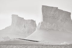 A large group of penguins gather at the edge of the largest iceberg on Earth