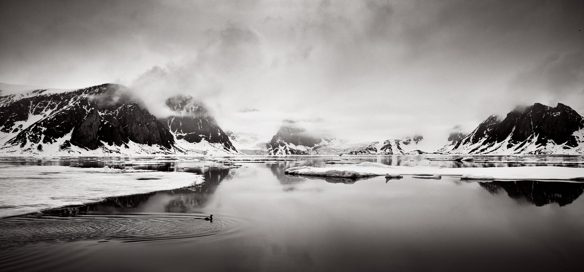 A lone bird swims between two sea ice formations with mountains and clouds in th - Photograph by Drew Doggett