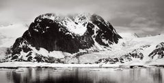 Una osa polar solitaria tomándose un momento para sí misma en su territorio ártico.