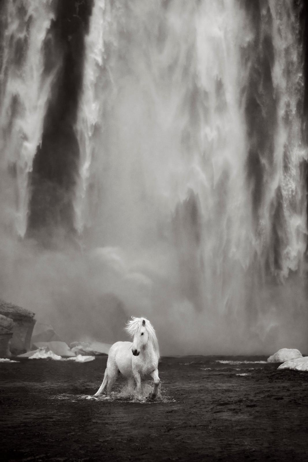 Un solitario caballo blanco juega bajo una poderosa cascada islandesa - Photograph de Drew Doggett
