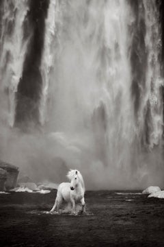Un cavallo bianco solitario gioca sotto una possente cascata islandese