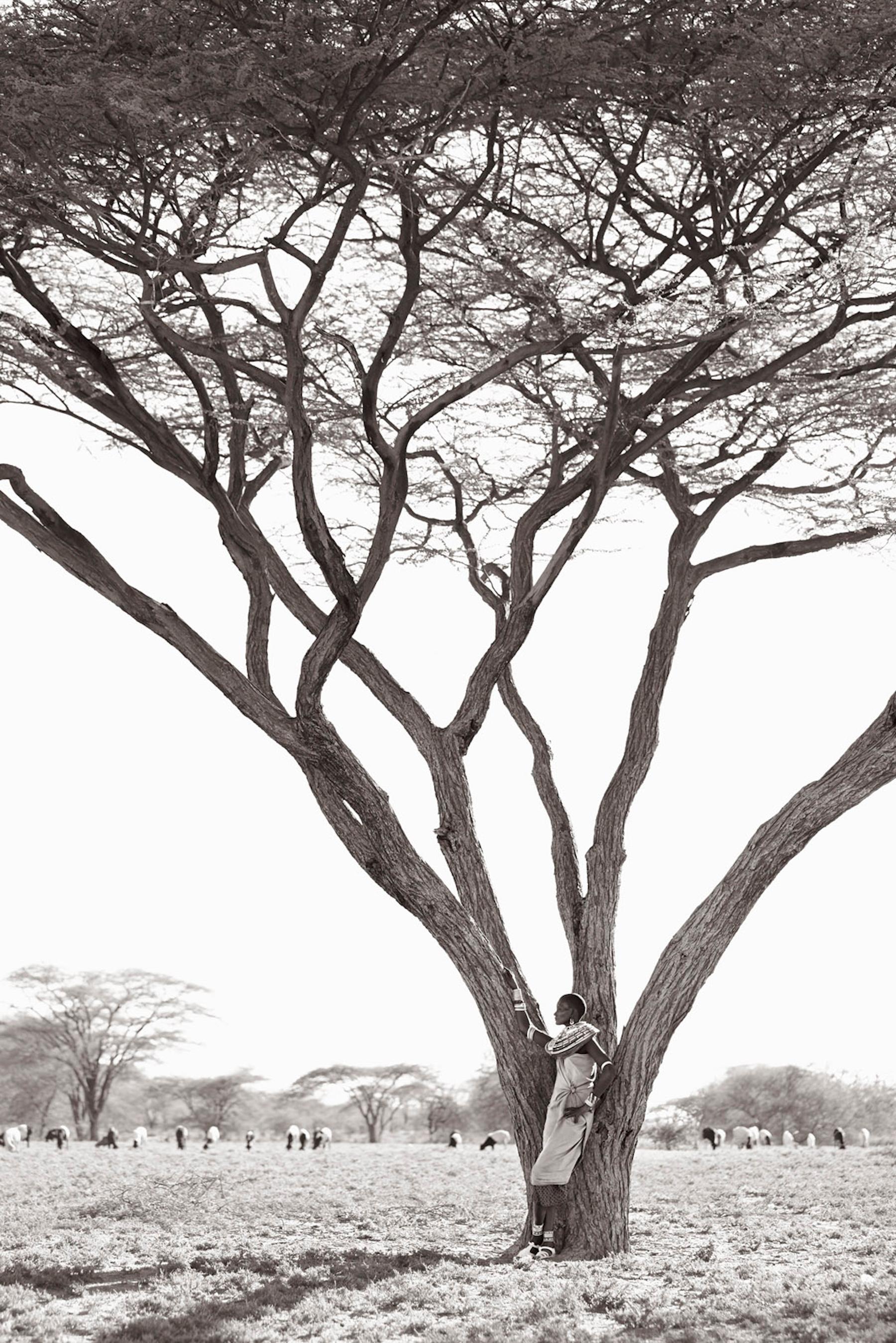Une femme Samburu se tient contre un acacia dans cette image inspirée de la mode.  image - Photograph de Drew Doggett