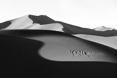 A sensuous curve of light dances across some of the largest sand dunes in the wo