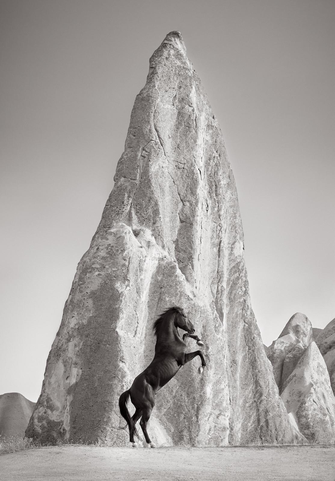 Un singolo cavallo scuro che si erge con una formazione rocciosa sullo sfondo - Photograph di Drew Doggett
