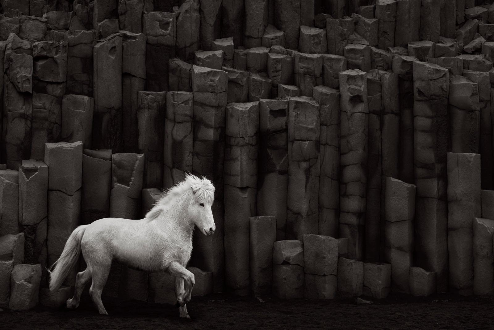 Un caballo blanco islandés enmarcado contra una roca volcánica negra geométrica - Photograph de Drew Doggett