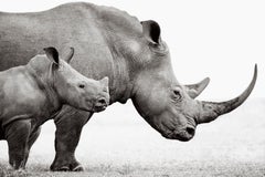 A young rhino stands next to their mother in this surreal and beautiful portrait