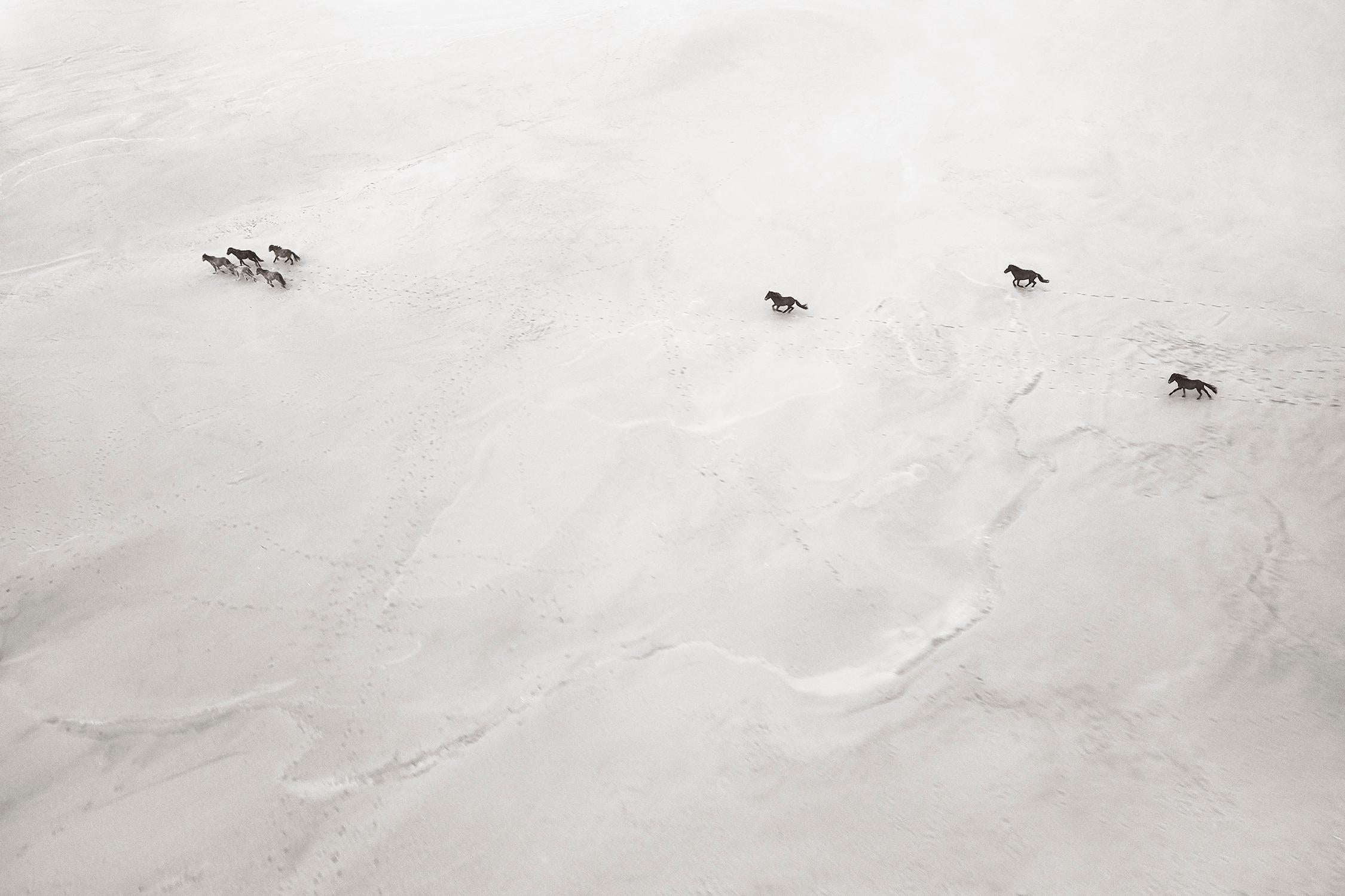 Vue aérienne de chevaux sauvages courant sur la plage de l'île de Sable