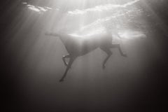 Caballo totalmente blanco nadando bajo el agua con luz surrealista, de otro mundo