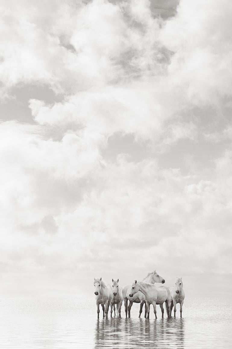 Drew Doggett Black and White Photograph – Alle weißen Pferde stehen in kalifornischem Wasser, Reiter, Meditativ
