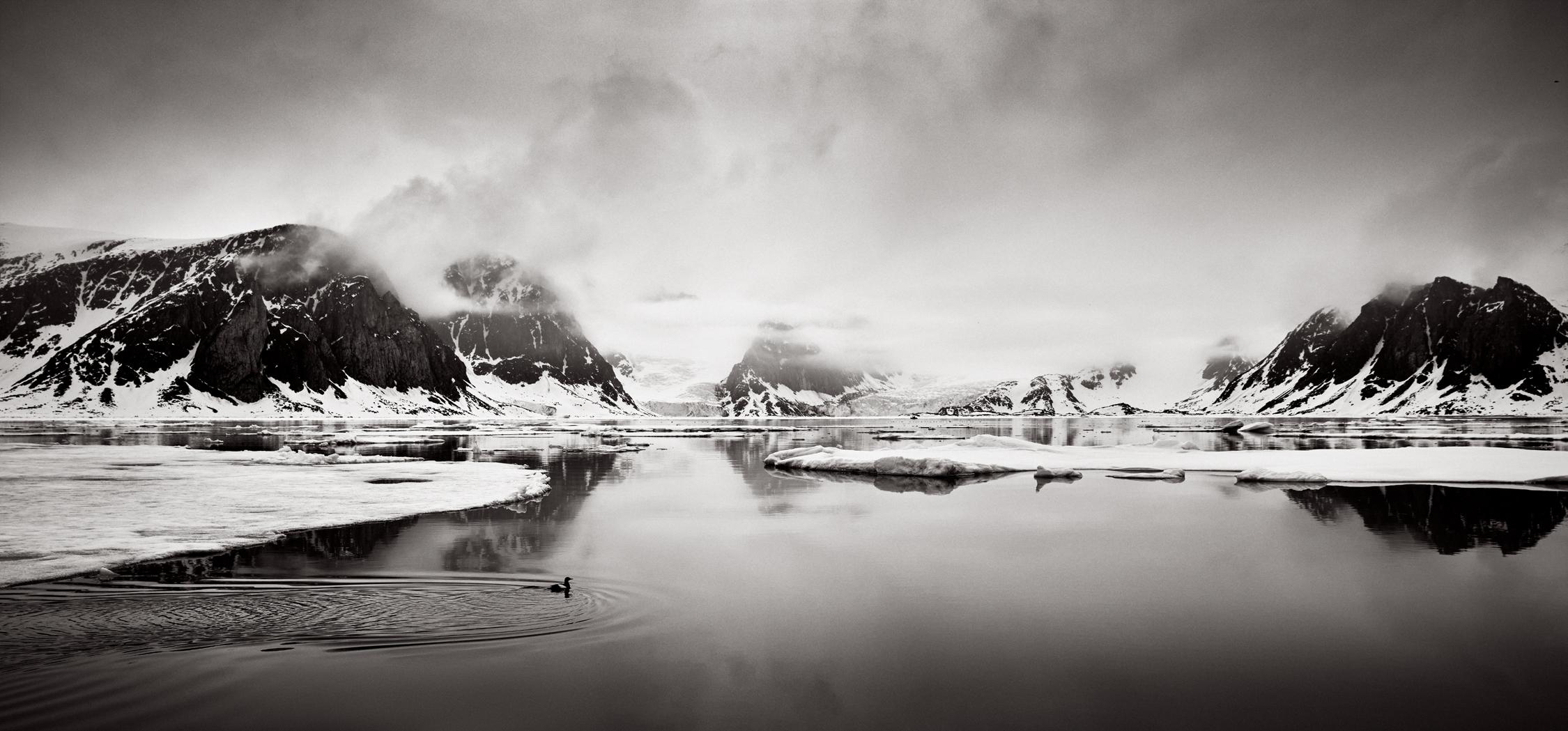 Drew Doggett Black and White Photograph – Arctic Landscape with Bird Swimming, Schwarz-Weiß-Fotografie