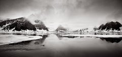 Arctic Landscape with Bird Swimming, Black & White Photography