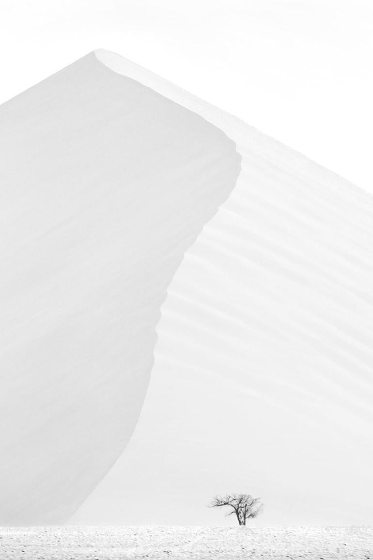 Preisträger, Bestseller, größte Sandhügel der Welt, minimalistisch, Monotone