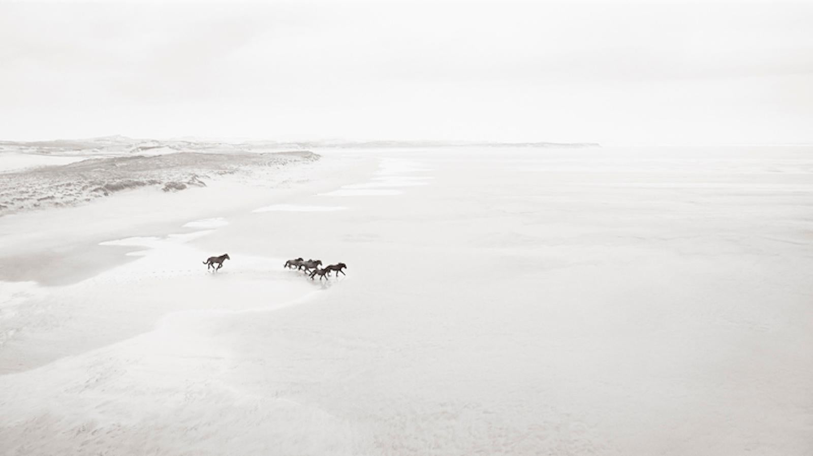 Banda de caballos salvajes corriendo por la orilla en la Isla Sable - Photograph de Drew Doggett