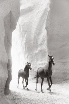 Immagine in bianco e nero di una cavalla e del suo puledro che camminano in uno slot canyon