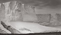 Black and white image of a massive iceberg and penguins gathering near the water
