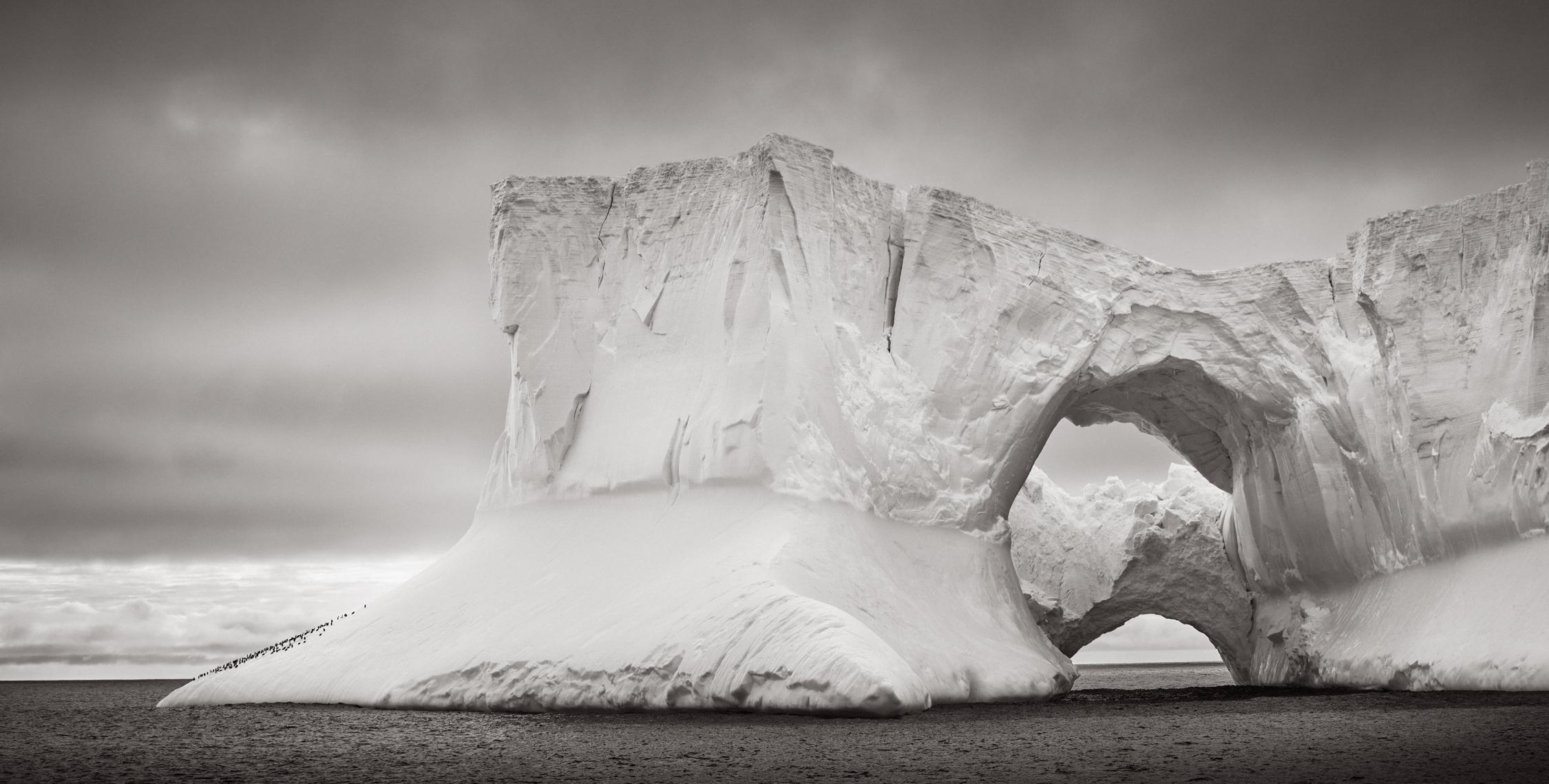 Black and white image of a massive iceberg with arches and penguins at its edges