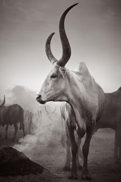 Schwarz-Weiß-Porträt eines alten Rindergefäßes, Ostafrika