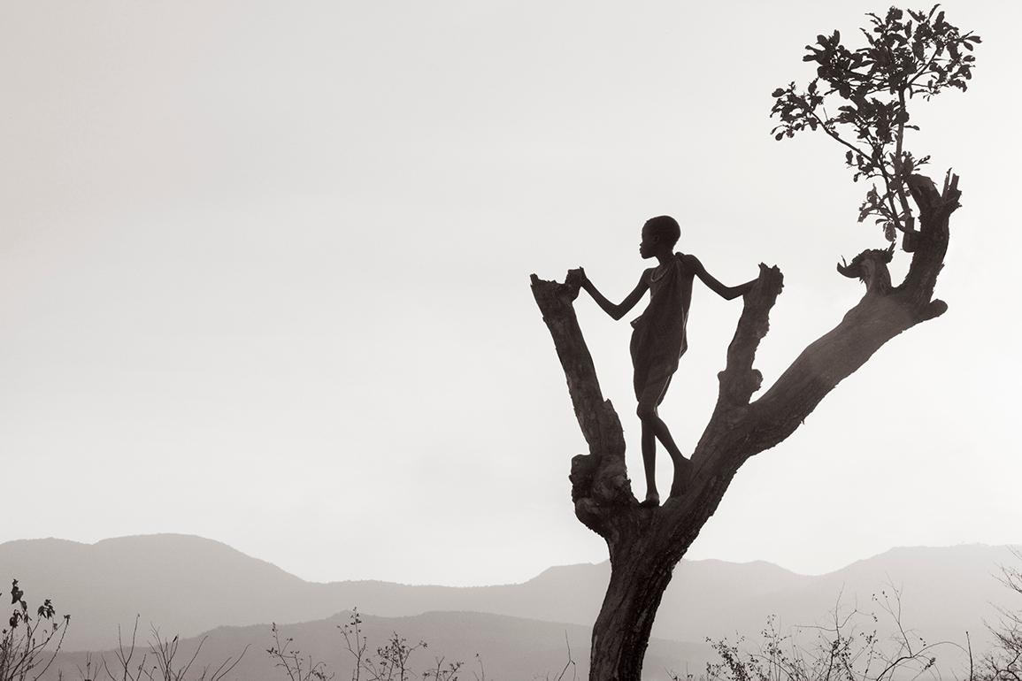 Drew Doggett Black and White Photograph - Boy In Tree Looking Over Land, Ethiopia, Africa, Iconic, Horizontal