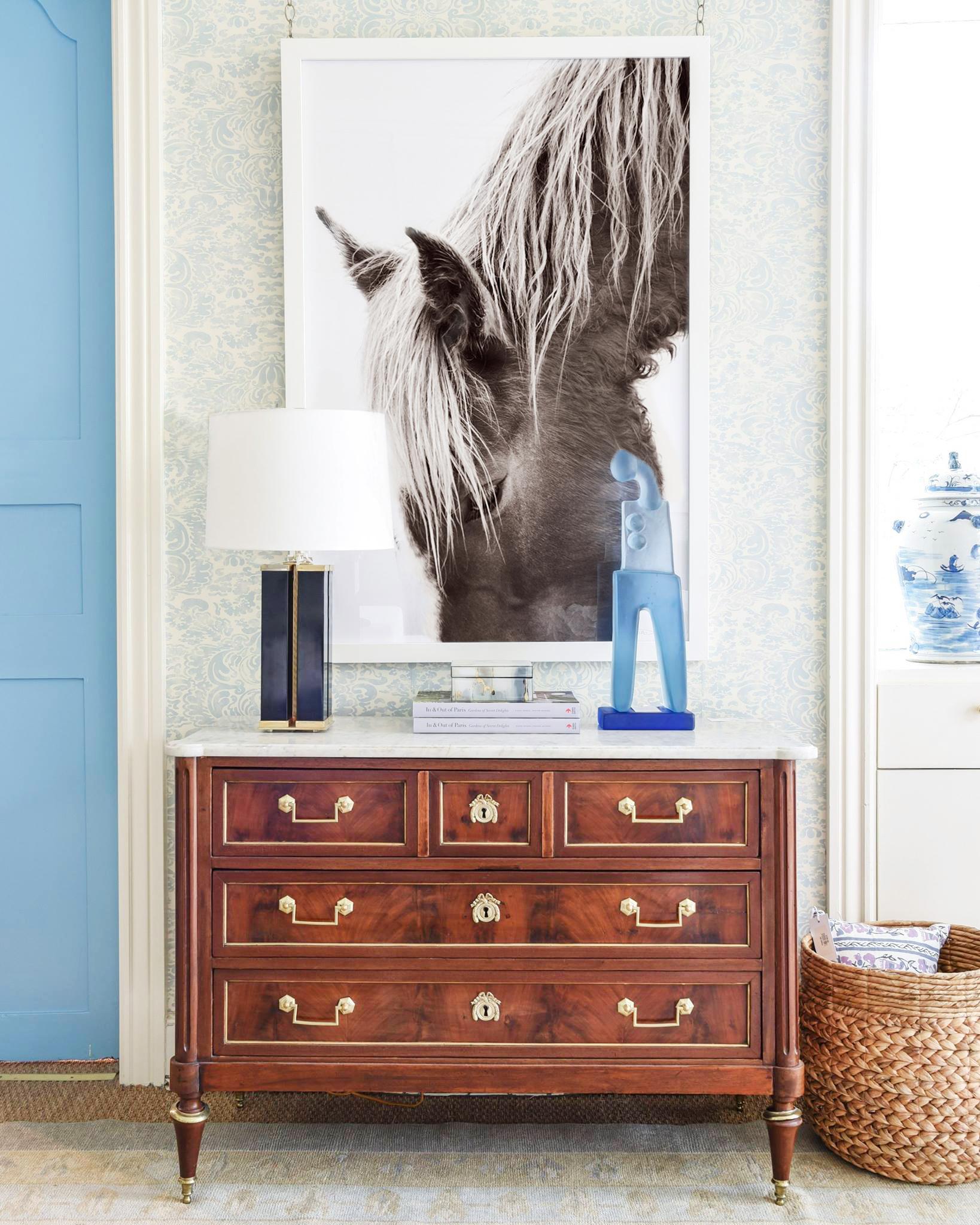 Portrait en gros plan d'un cheval de l'île de Sable, emblématique et méditatif - Photograph de Drew Doggett
