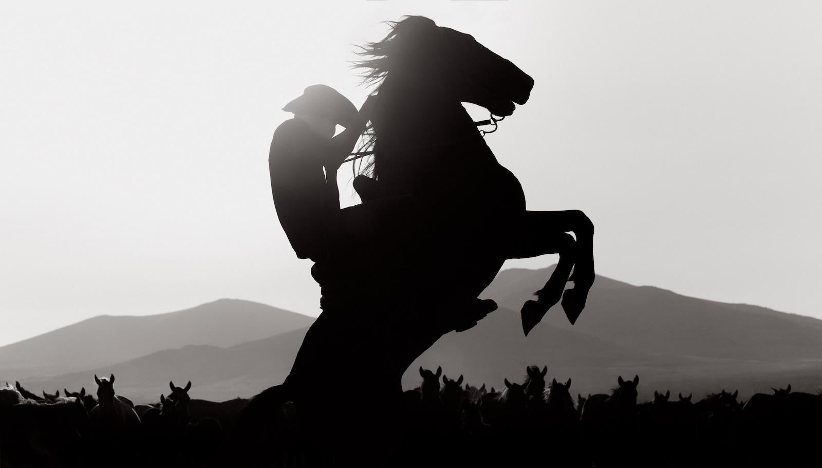 Cowboy, der sich auf seinem Pferd aufbäumt, vor der Kulisse seiner Herde und der Berge – Photograph von Drew Doggett
