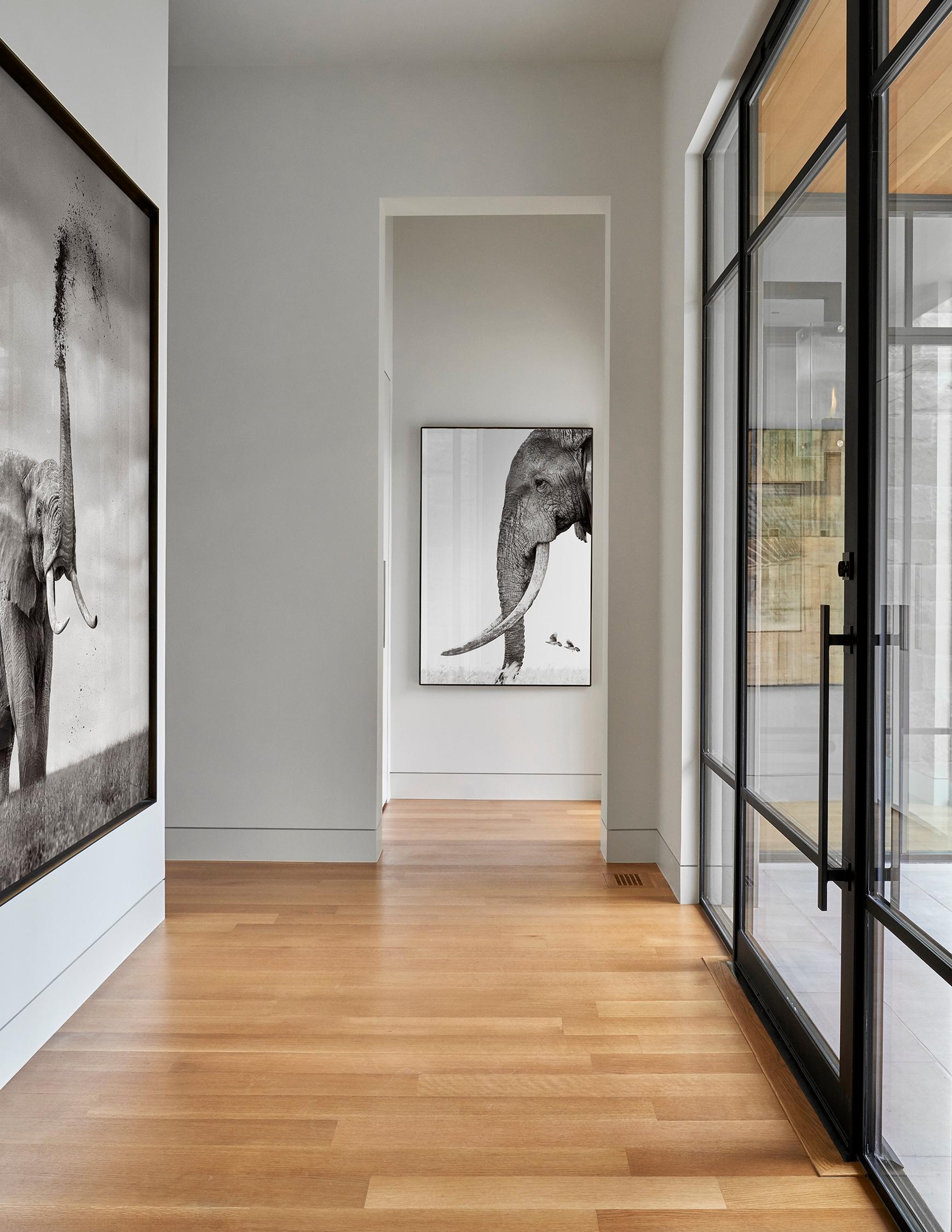 Ritratto di profilo dettagliato e iconico di un elefante dal muso grande - Black and White Photograph Grigio di Drew Doggett