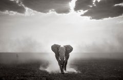 Elephant running across an iconic expanse of Kenya with a trail of dust behind h