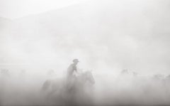 Entouré d'un nuage de poussière, un cow-boy réunit un groupe de chevaux semi- sauvages