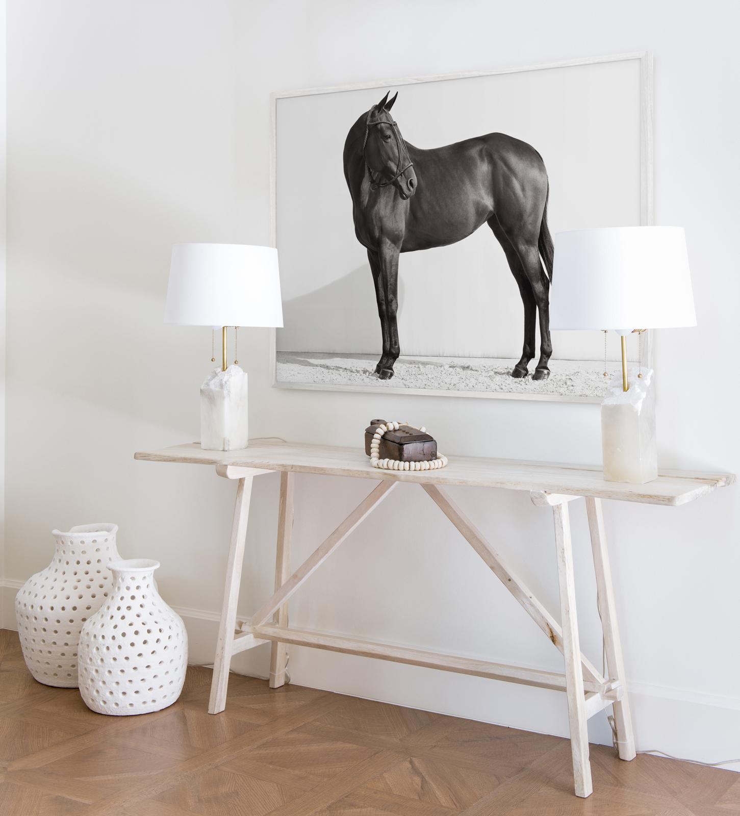 Reiterporträt, klassisches, schwarzes Pferd mit Schöpfkelle, Reins und Bonnet – Photograph von Drew Doggett