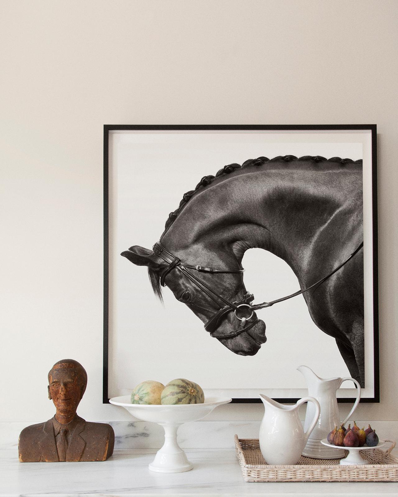 Equestrian Portrait of a Speckled Horse, Fashion-Inspired, Horizontal - Contemporary Photograph by Drew Doggett