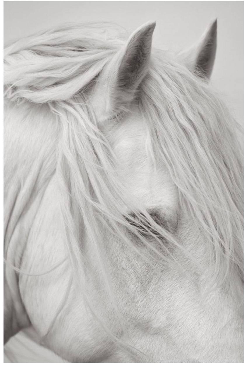ÉTHÉRÉ-FRAMED IN WHITE - Photograph by Drew Doggett