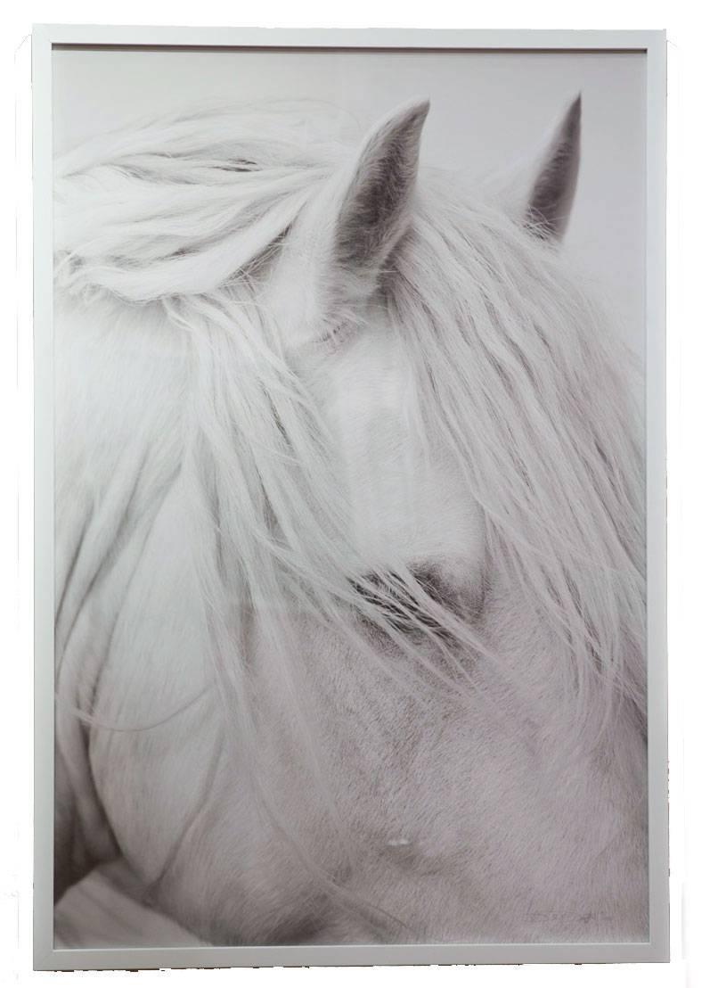 Drew Doggett Black and White Photograph - ÉTHÉRÉ-FRAMED IN WHITE