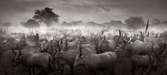 Expansives, surreales Schwarz-Weiß-Bild der Mundari- Rinderlager