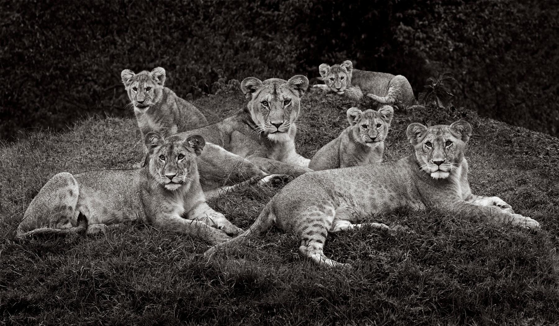 Familienangelegenheit – Photograph von Drew Doggett