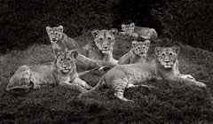 A Family Affair