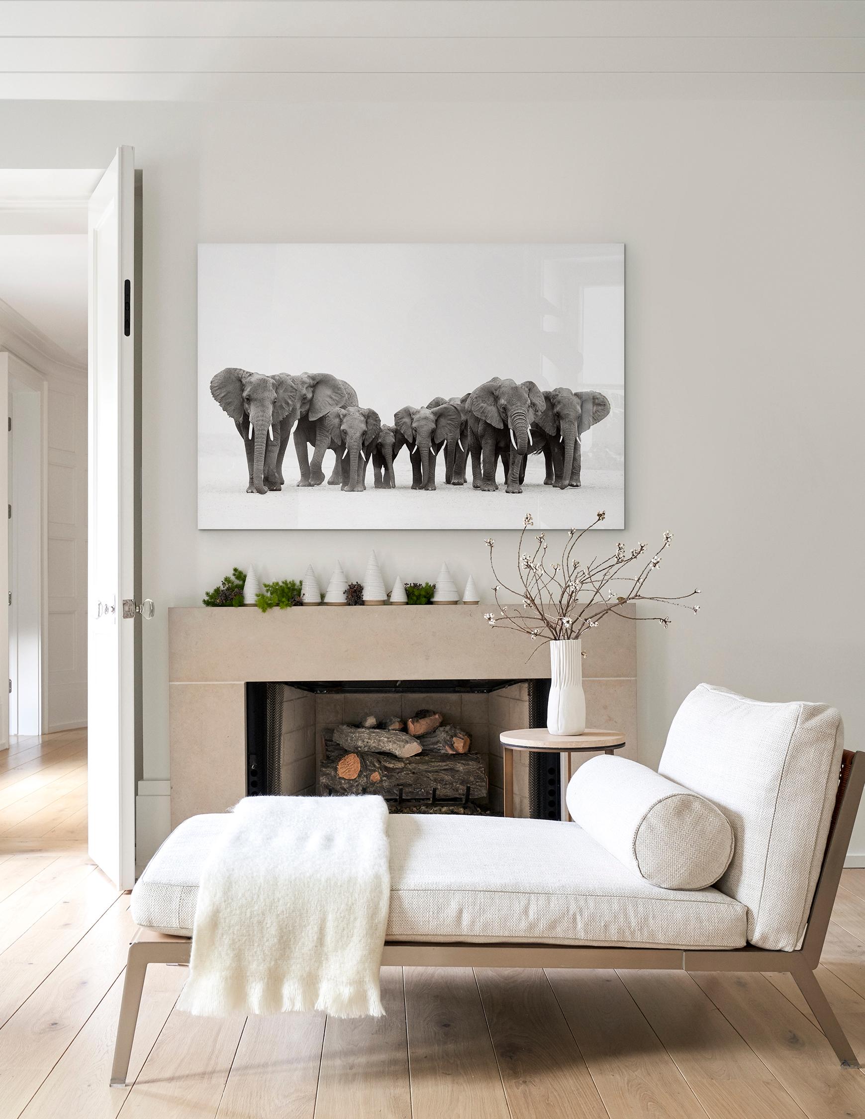 Family of Elephants in Africa, Classic, Iconic, Black and White For Sale 1