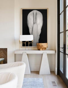 Ritratto ispirato alla moda di un cavallo bianco d'élite con briglia nera