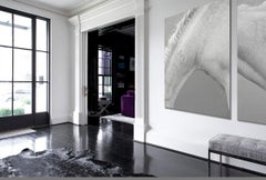 Group of All-White Horses Gathered in the South of France